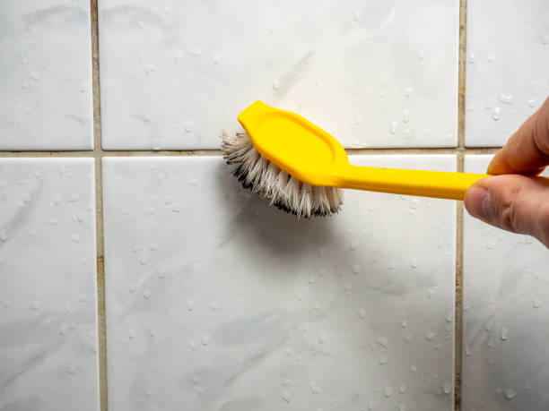 Best Mold Testing and Inspection Services in Siesta Shores, TX