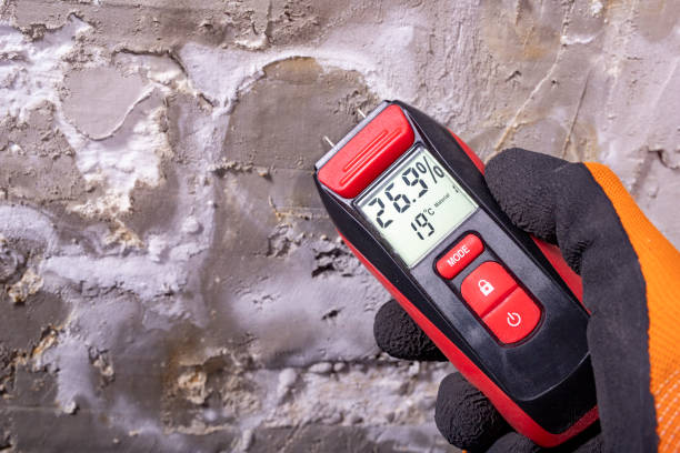 Reliable Siesta Shores, TX Mold Remediation Solutions