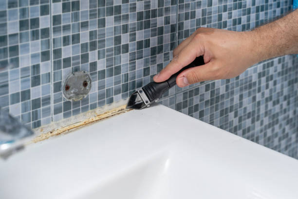 Best White Mold Remediation in Siesta Shores, TX